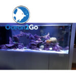 Aquarium 200x80x80