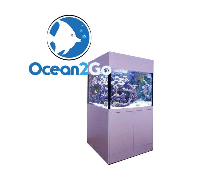 Aquarium 70x70x70cm (ohne Technik) Ocean2Go