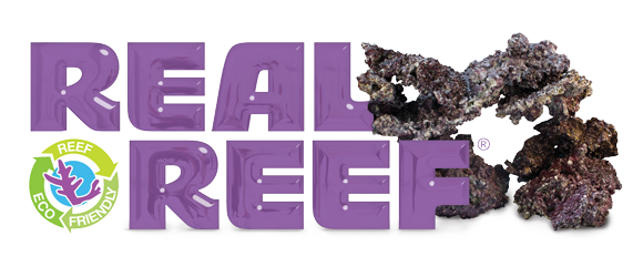 Real Reef Rock