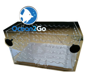 schwimmbox