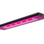 Aqua Illumination Blade Refugium 12"