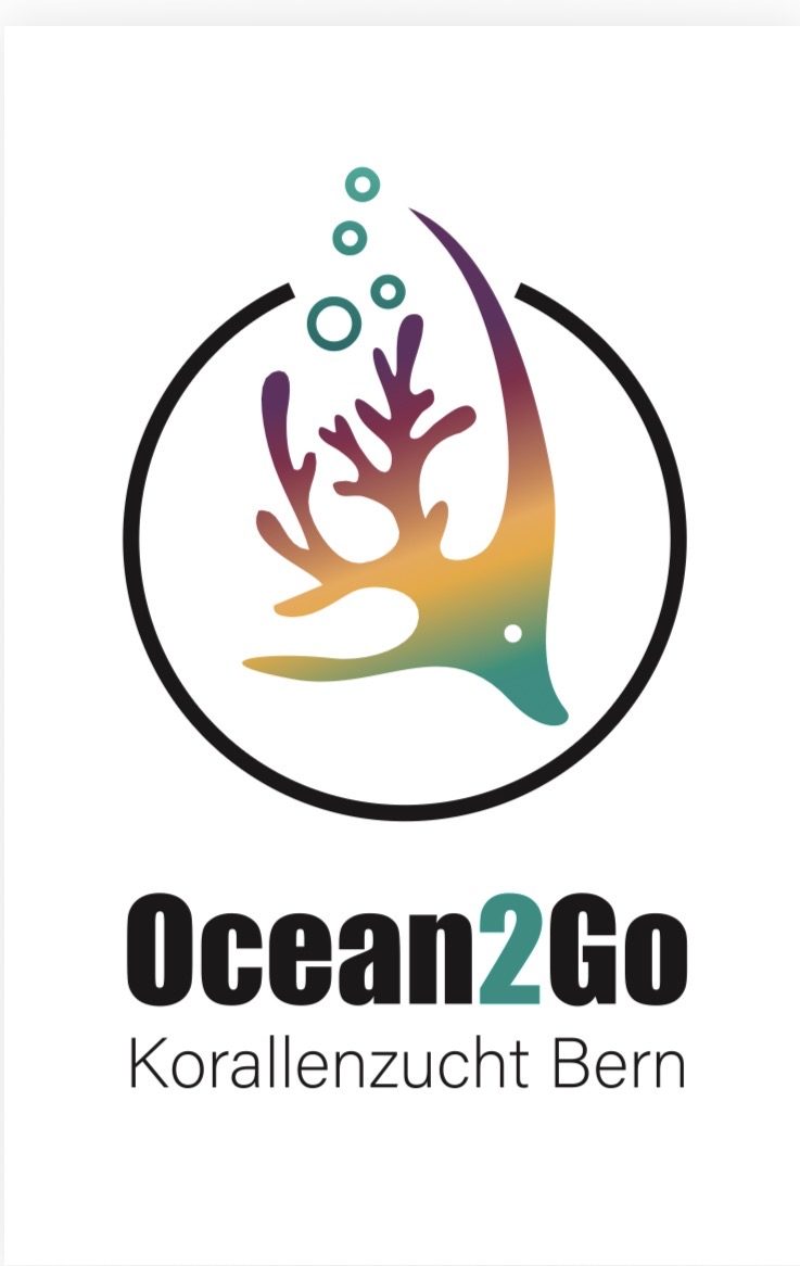 Ocean2Go Korallenzucht Bern