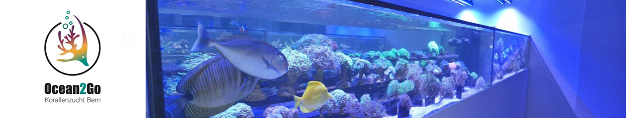 Ocean2Go